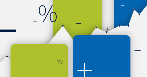 a graphic representation of statistics
